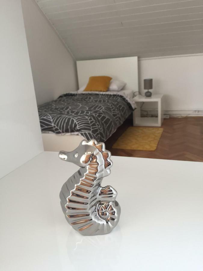 Apartman Studio Sonas 3 With Free Private Parking Karlovac Exteriör bild